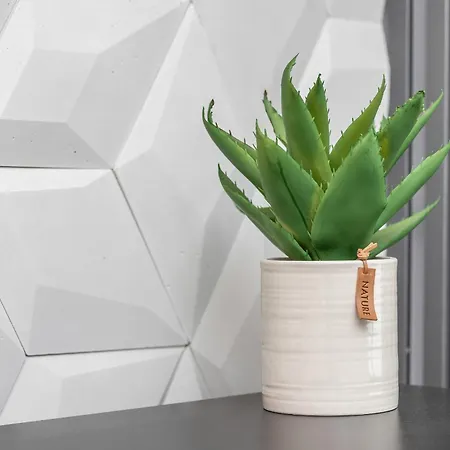 In Center With Balcony, Parking And Air Conditioning By Renters *