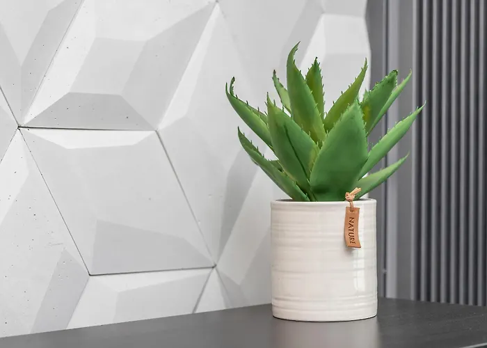 In Center With Balcony, Parking And Air Conditioning By Renters *