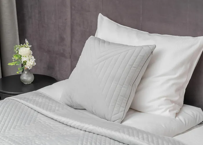 In Center With Balcony, Parking And Air Conditioning By Renters דירה גדנסק